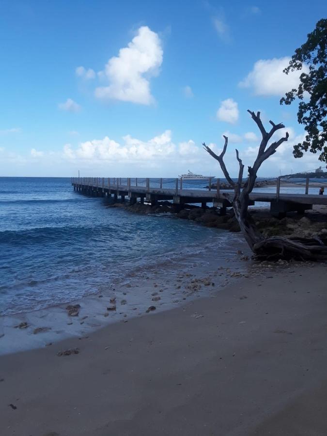 Ixoras Beach Apartments Saint Peter Bagian luar foto